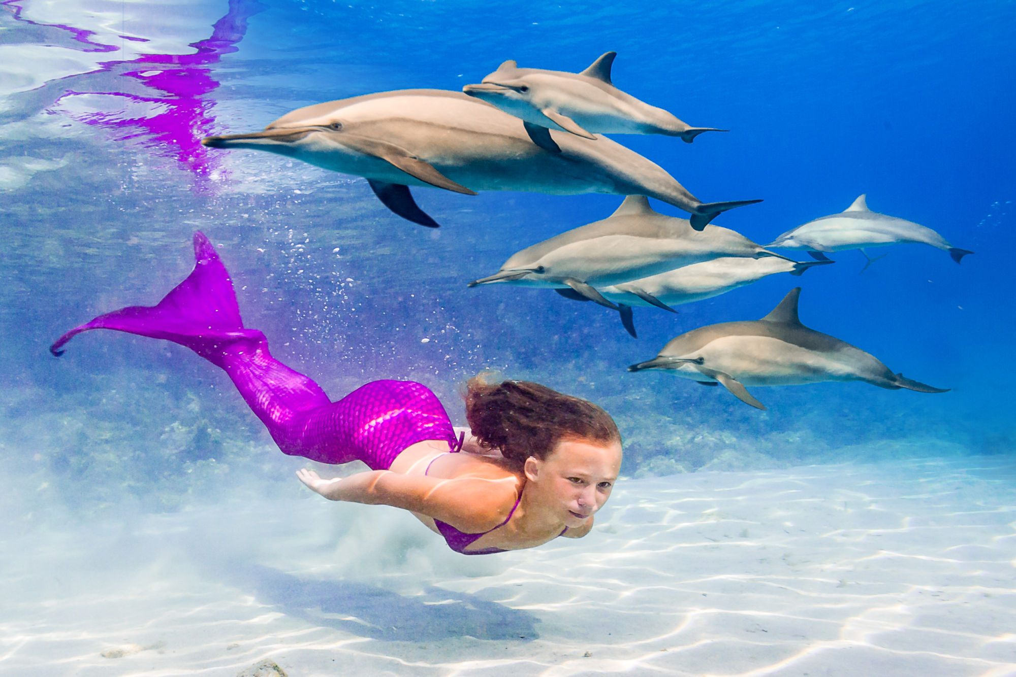 Zážitkové plavání s delfíny a mořskými pannami